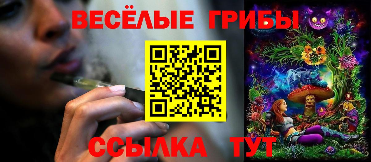 Галлюциногенные грибы Psilocybe  Вход с VPN  Королёв 