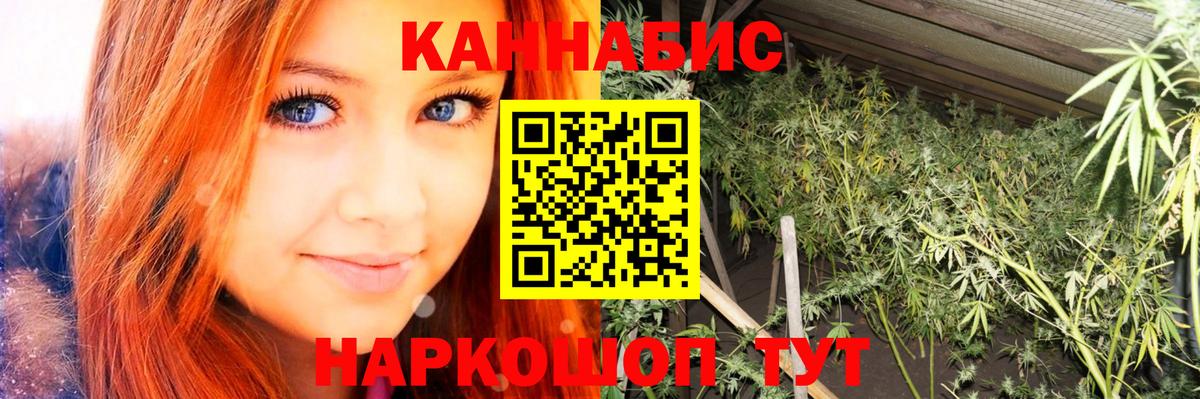 Марихуана планчик  Вход с VPN  Шишки марихуана план  Королёв  Бошки марихуана Bruce Banner  Бошки марихуана White Widow 